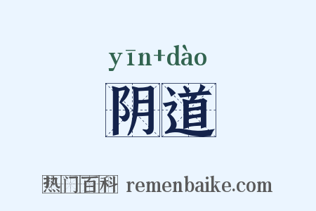 阴道是什么意思的图片